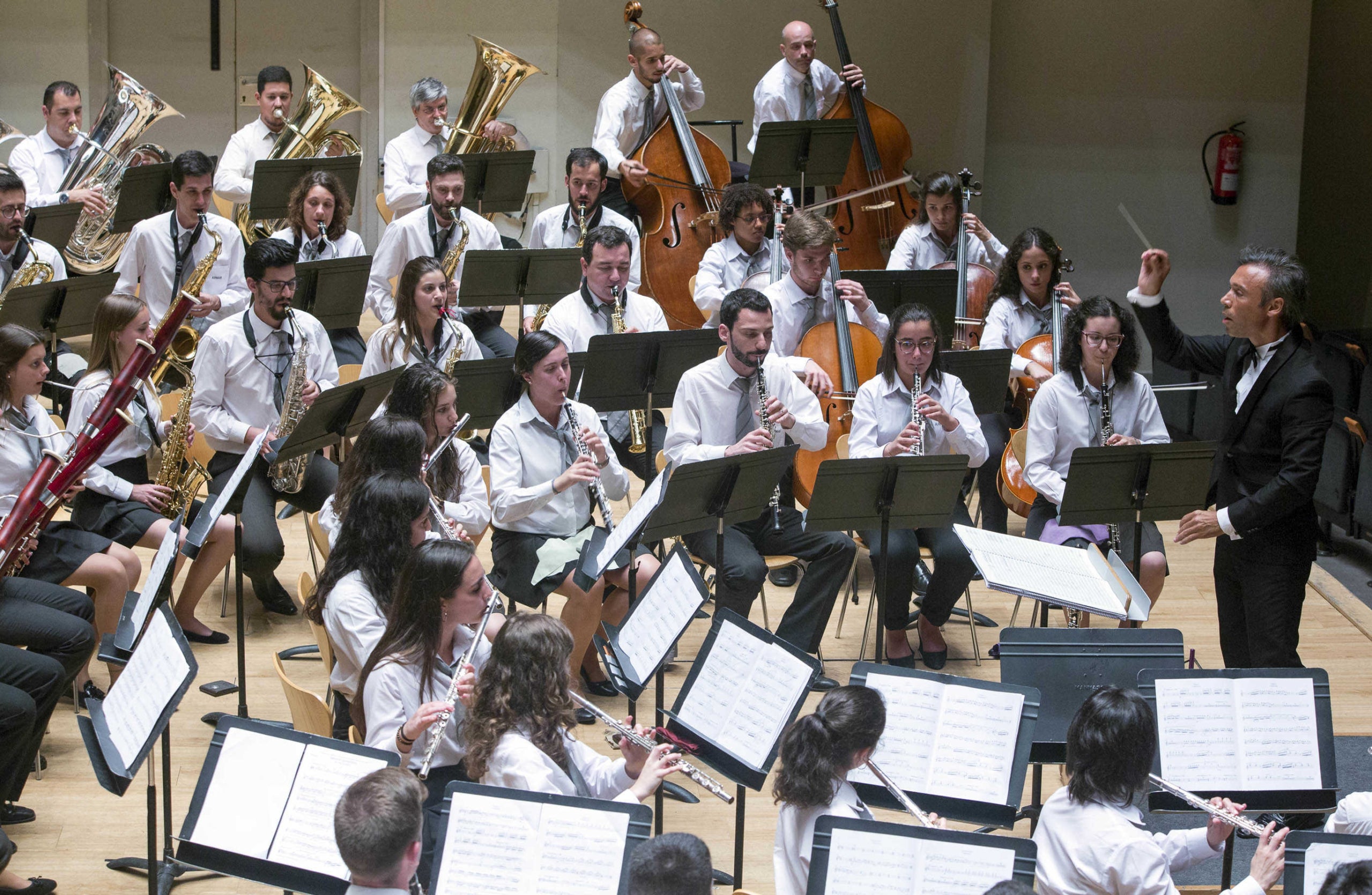 quest diumenge, el Certamen de València arriba a la recta final amb l'entrada en escena de les bandes de la Secció d'Honor.