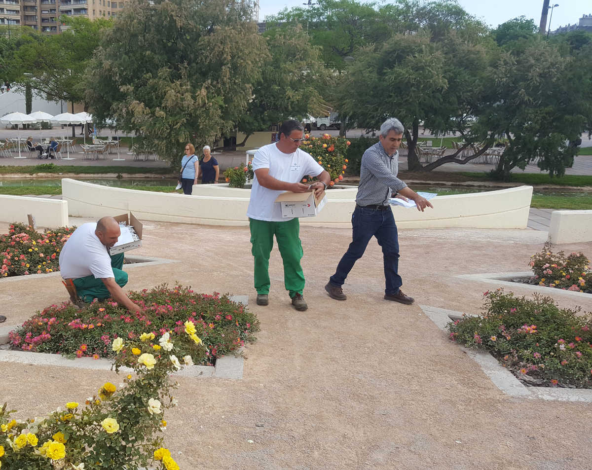 Els tècnics municipals han insertat 90.000 unitats d'àcars en les plantes de l'espai verd recuperat en 2017 per l'Ajuntament de València.