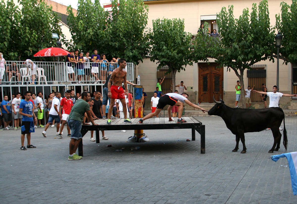 Una iniciativa popular amb 1.700 firmes demanava que no s'autoritzaren els actes festius amb bous a Godella.