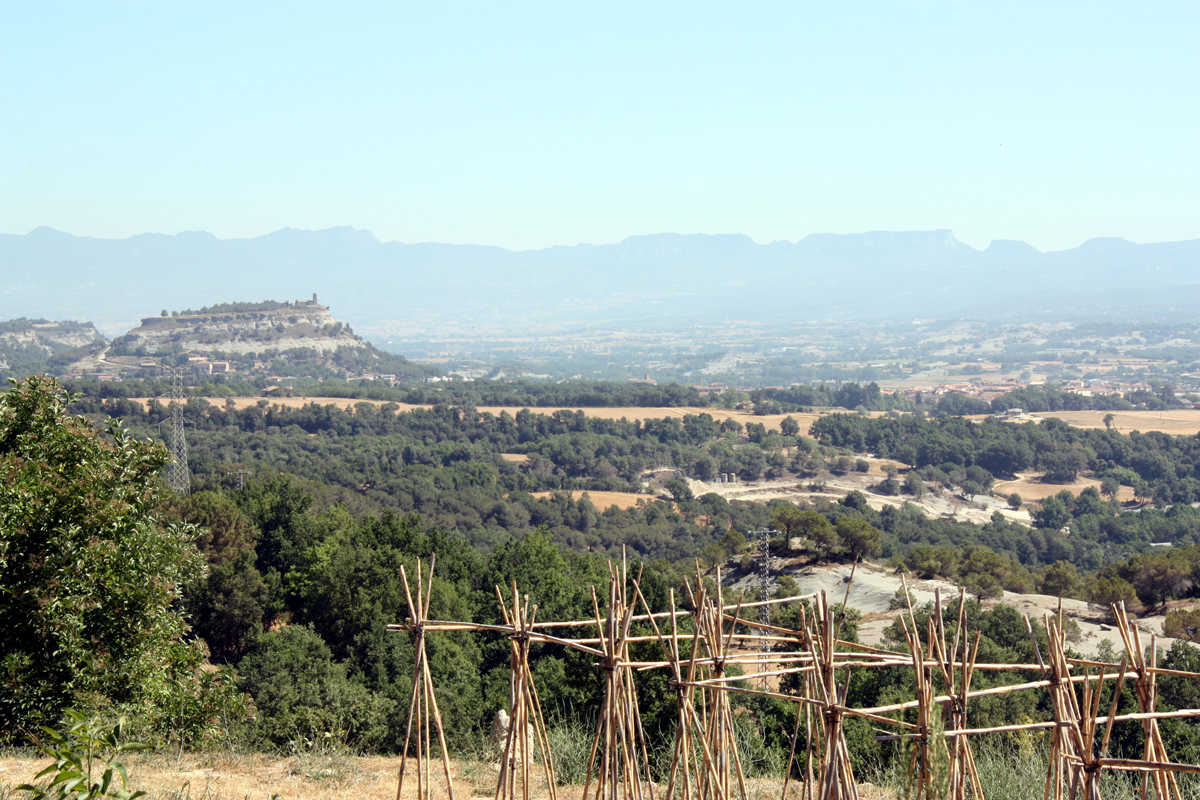 La contaminació al litoral mediterrani està ocasionada per l'alt grau d'urbanització de la costa i l'elevat trànsit marítim, i afecta tres milions de persones, especialment en les àrees d'interior.