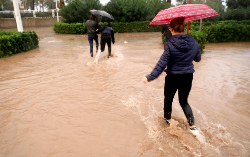 L'Ajuntament de València va ordenar aquest divendres tancar alguns espais públics per precaució.