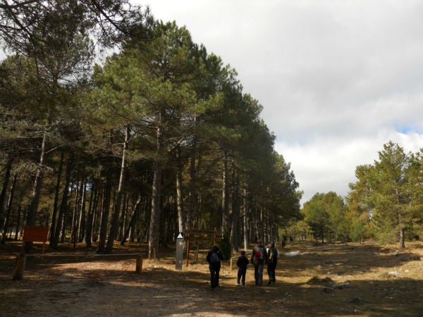 Parc Natural de Penyagolosa