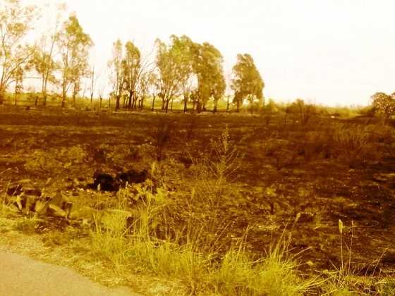 L'acumulació de brutícia va propiciar l'incendi.