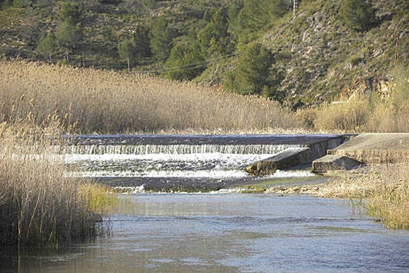 El riu Xúquer al seu pas la Ribera Alta.