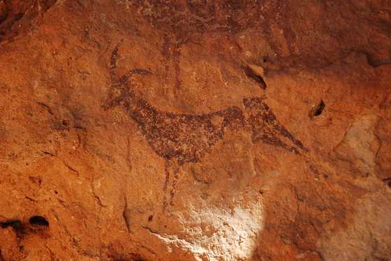 Les Coves de l’Aranya són Patrimoni de la Humanitat des de 1998.