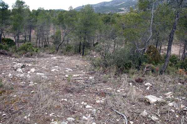 s’han Els treballs s'han dut a terme clarament dirigits a obtindre el major benefici possible, sense cap consideració cap als valors ambientals.