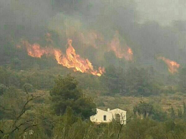 Imatge de l'incendi als peus del Montgó.