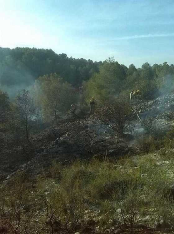Imatge de les Brigades forestals treballant en la zona calcinada.