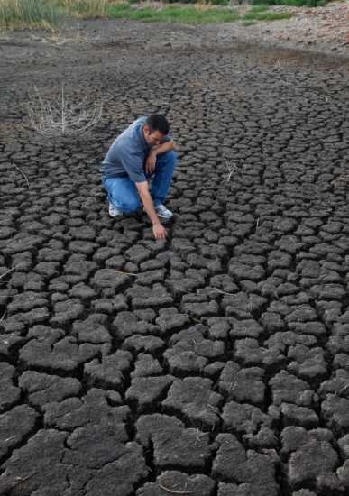 Imatges de la sequera que va afectar els camps de soja als Estats Units l'estiu del 2012.