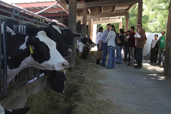Els assistents a la jornada d'emprenedoria social visiten les instal·lacions de La Fageda.