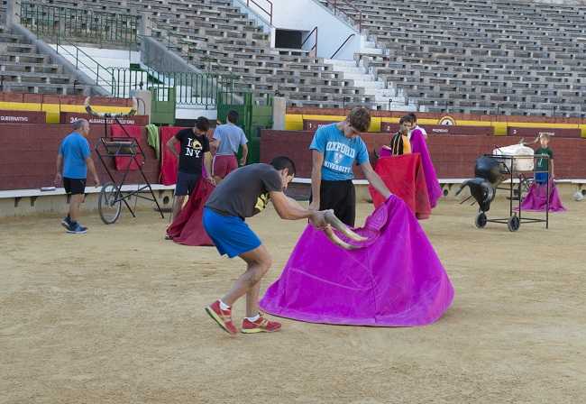 Imatge d'arxiu de pràctiques en l'Escola Taurina de Castelló.