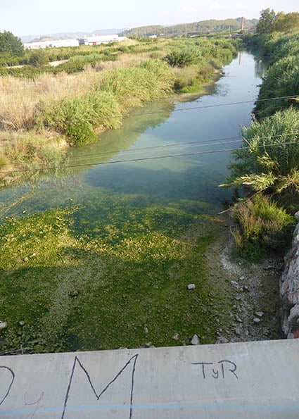 Fotos en les proximitats del pont de Castelló de la Ribera i a les Salines de Manuel.