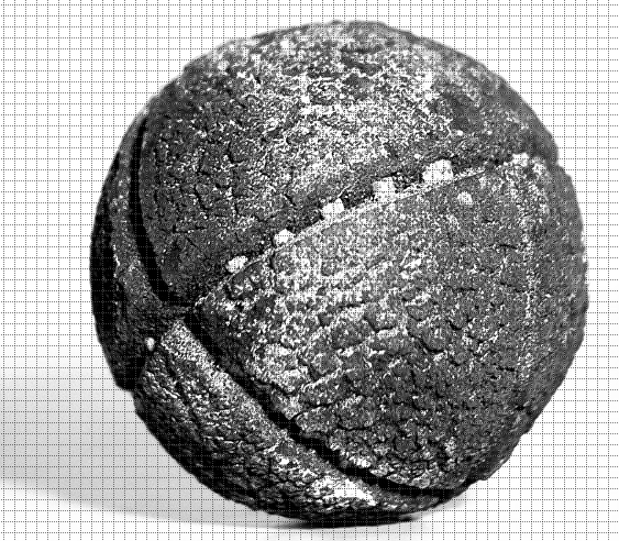 Cartell de l'exposició.