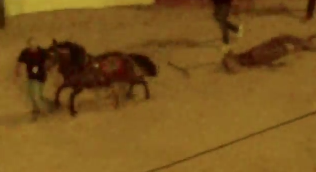 Un fotograma d'un dels vídeos.