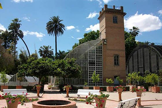 Jardí Botànic València.