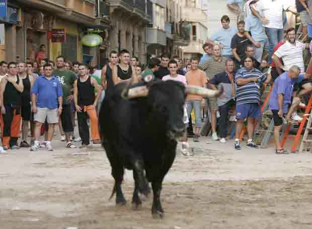 Bous al carrer.