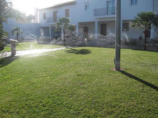 Imatge del nou reg en jardins municipals.