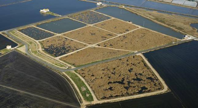 Imatge del tancat de l´Illa.