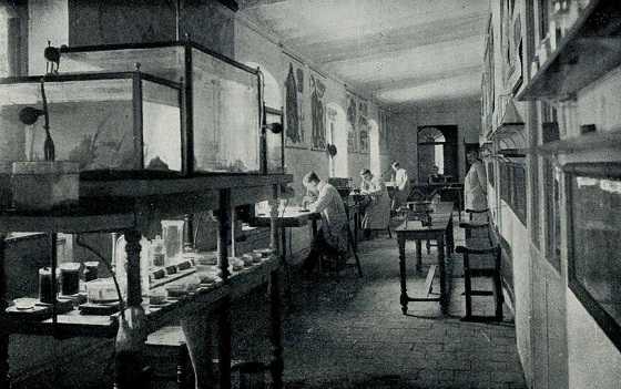 Laboratori de l'Institut d'Hidrobiologia.