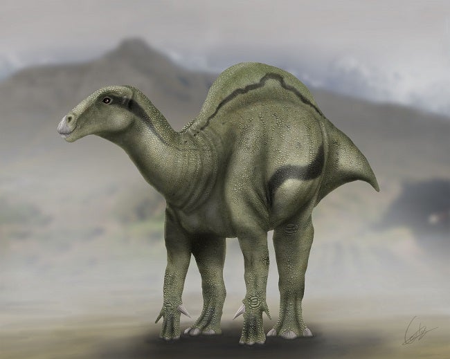 Reconstrucció del 'Morelladon'.