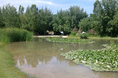 Parc de la Rambleta.