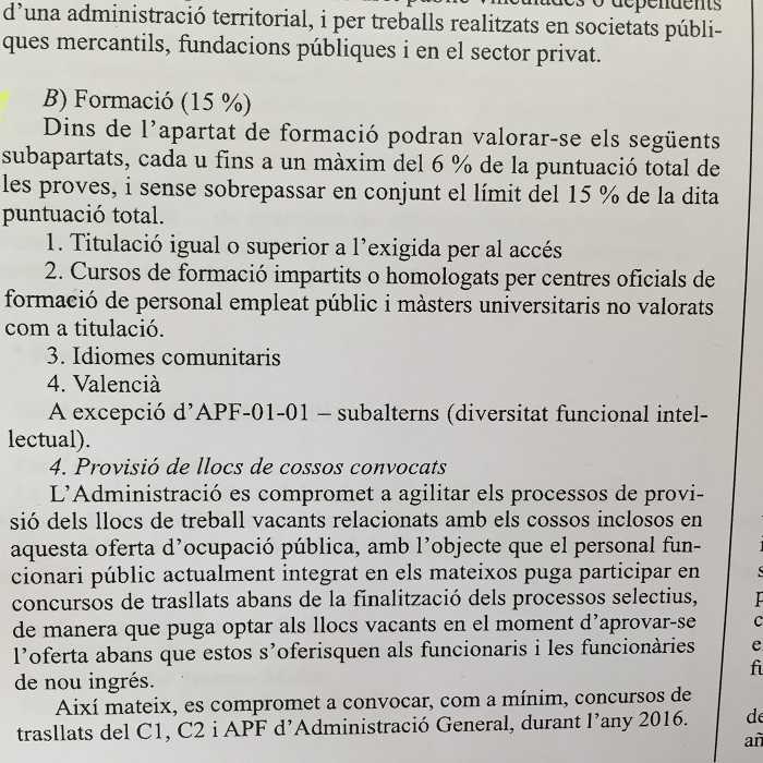 Imatge de detall del DOCV.