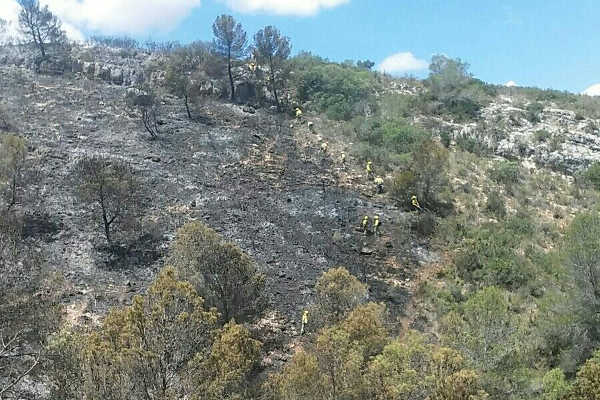 Incendi Forestal Bolbait.