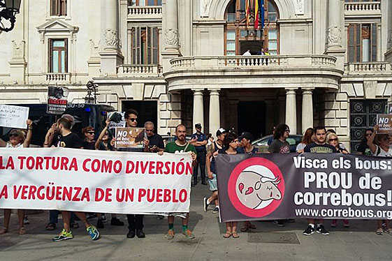 Concentració d'entitats antitaurines.