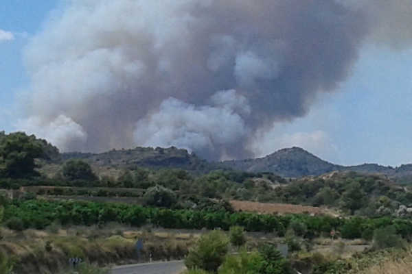 Incendi forestal Artana.