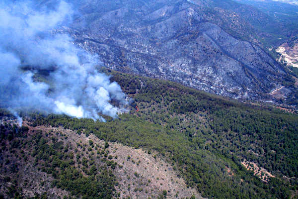 Incendi Forestal d'Artana.