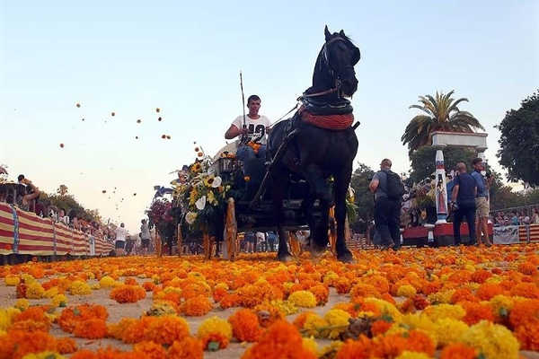 Batalla de les flors.