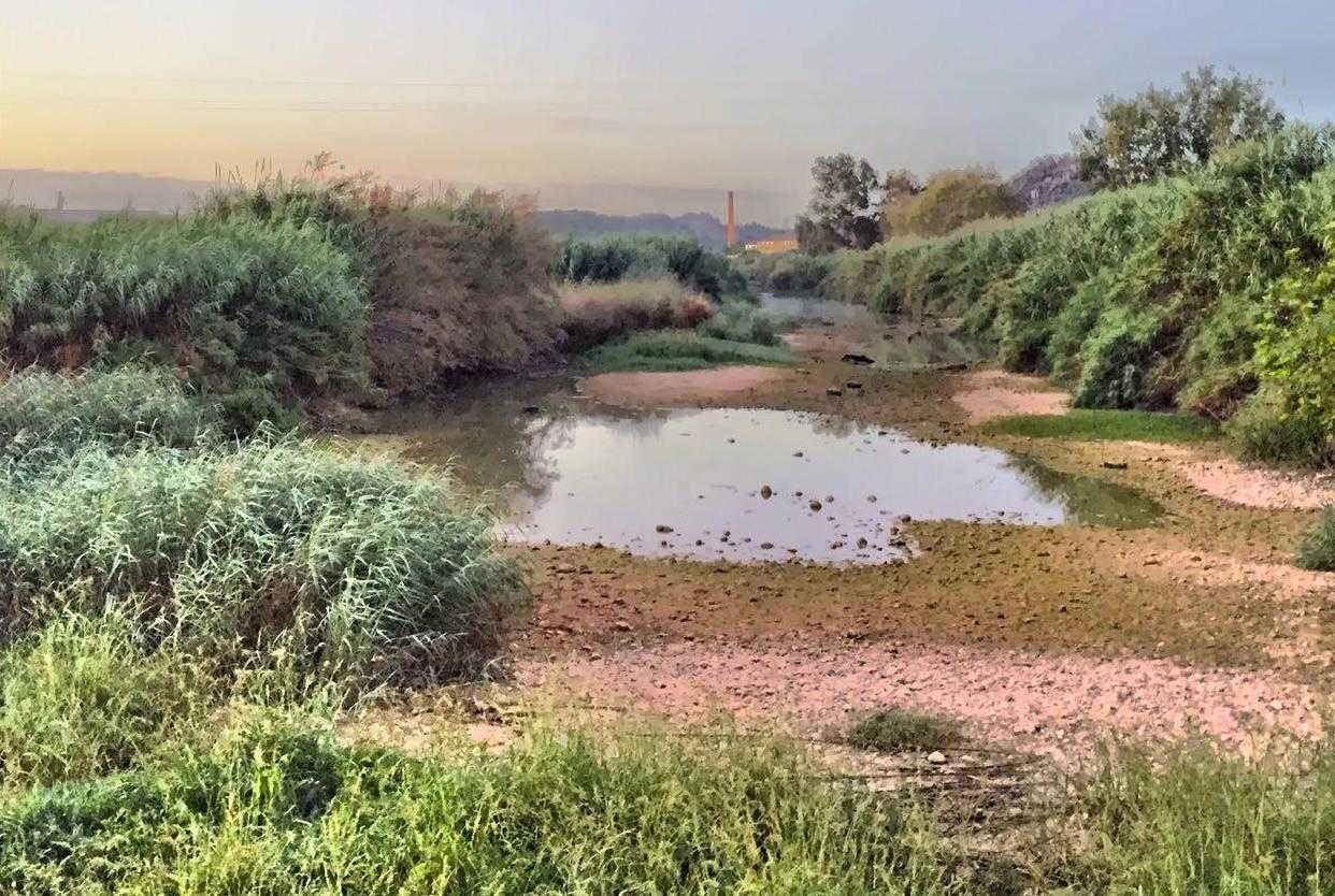 Imatge del riu Albaida al seu pas per Castelló de la Ribera.