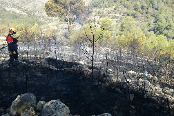 Incendi forestal a Llíber.