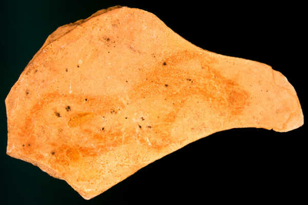 Plaqueta de la cova del Parpalló.