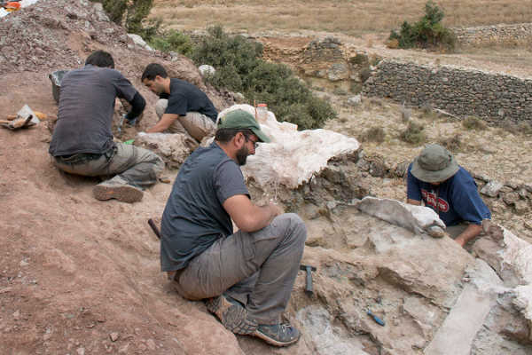 Treballs al jaciment.