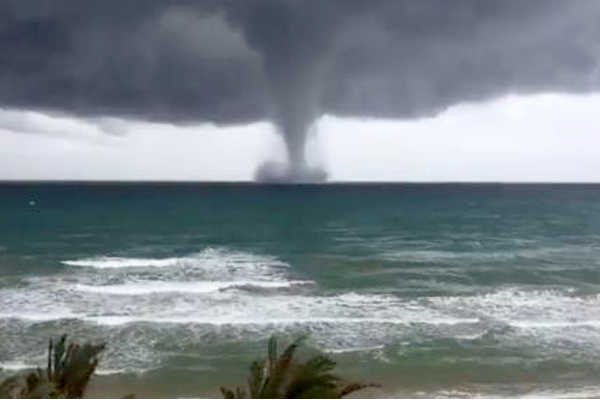 Imatge de la mànega marina.