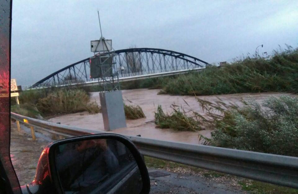 El Xúquer al seu pas pel pont de Gavarda.