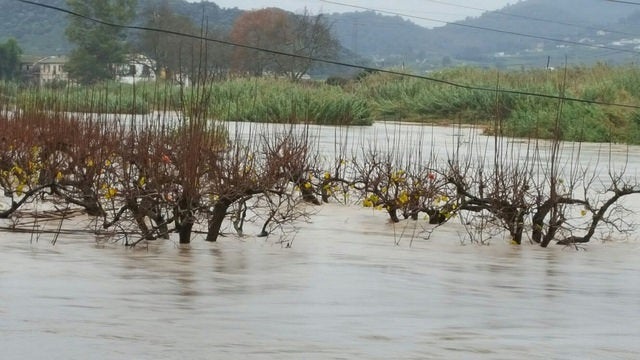 Riu Albaida.