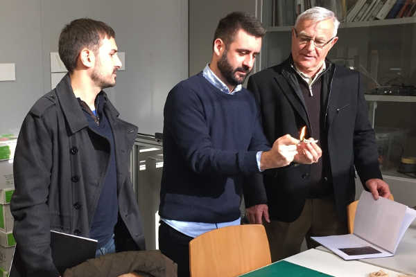 Campillo, Fuset i Ribó.