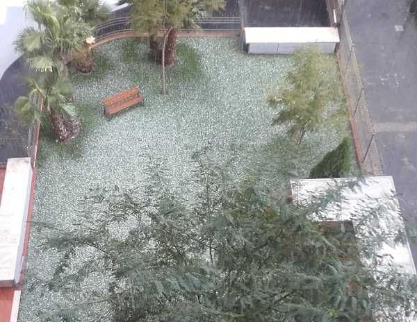 Imatge captada a la ciutat de València.