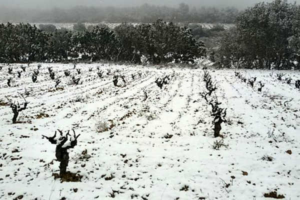 Neu Utiel.