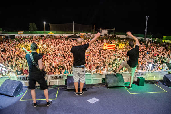 Aspencat al Fellslloch 2016.