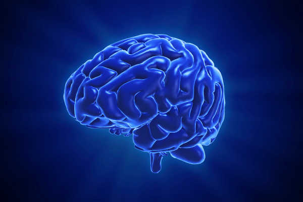 GettyImages-Cervell.