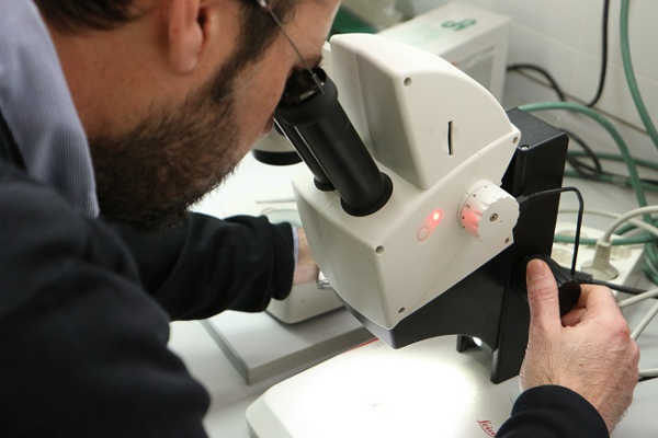 Aliejandro Romero, l'investigador de la Universitat d'Alacant que ha participat en el projecte.