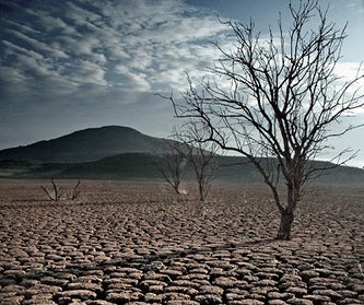 L'escalfament de les temperatures i la sequera són les principals amenaces mediambientals al País Valencià