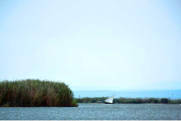 L'Albufera.
