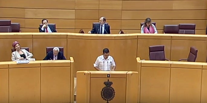 Carles Mulet, durant una intervenció al Senat.