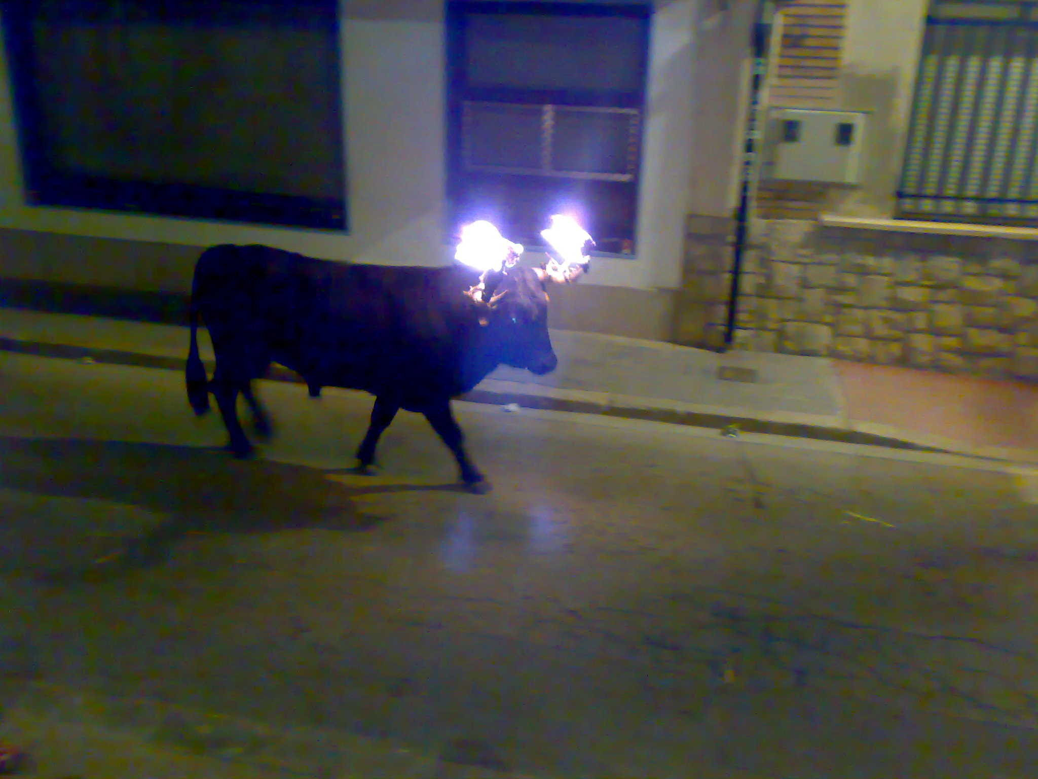 Bou embolat