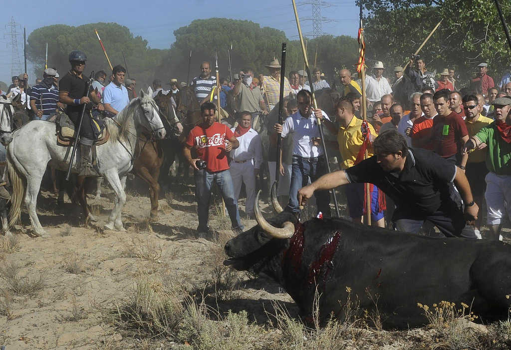 El toro de la Vega