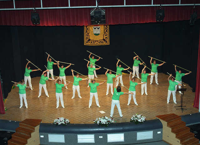 Exhibició de gimnàstica.